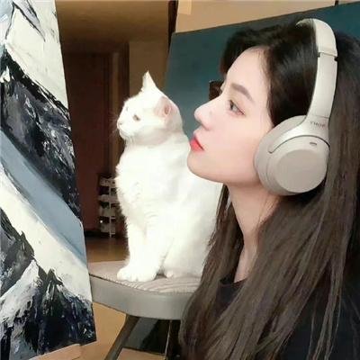 红衣主教
